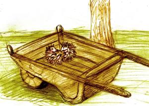 11297065_1108006332547438_1124060519_o