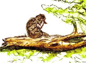 11390070_1103407886340616_3291407968347352748_n