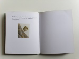 Gardi -Der kleine See und das Meer 025